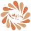 AINUSA Logo